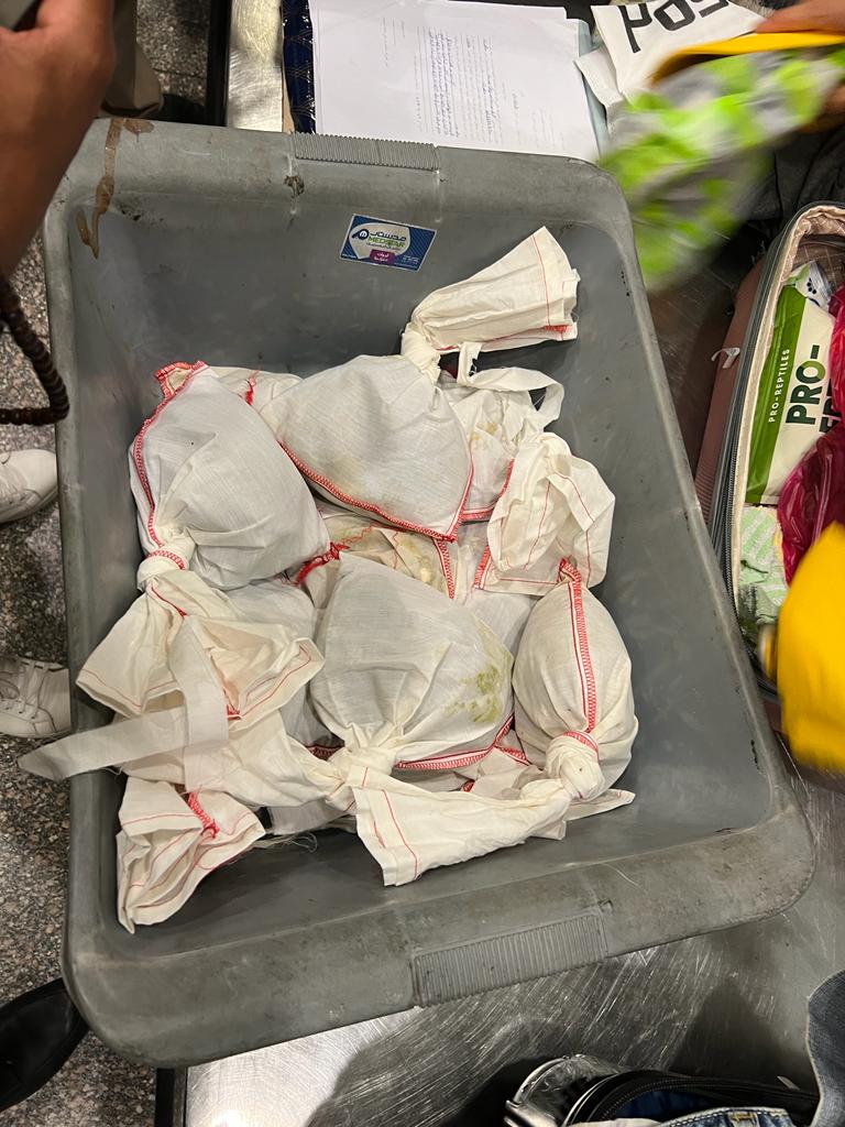 جمارك مطار القاهرة تحبط محاولة تهريب 73 ثعبانًا بحوزة راكب مصرى.. صور