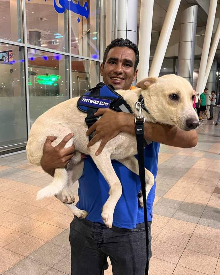 استقبال شرفي للبطل رامبو في القاهرة بعد مشاركته في مهرجان فينيسيا السينمائي الدولي