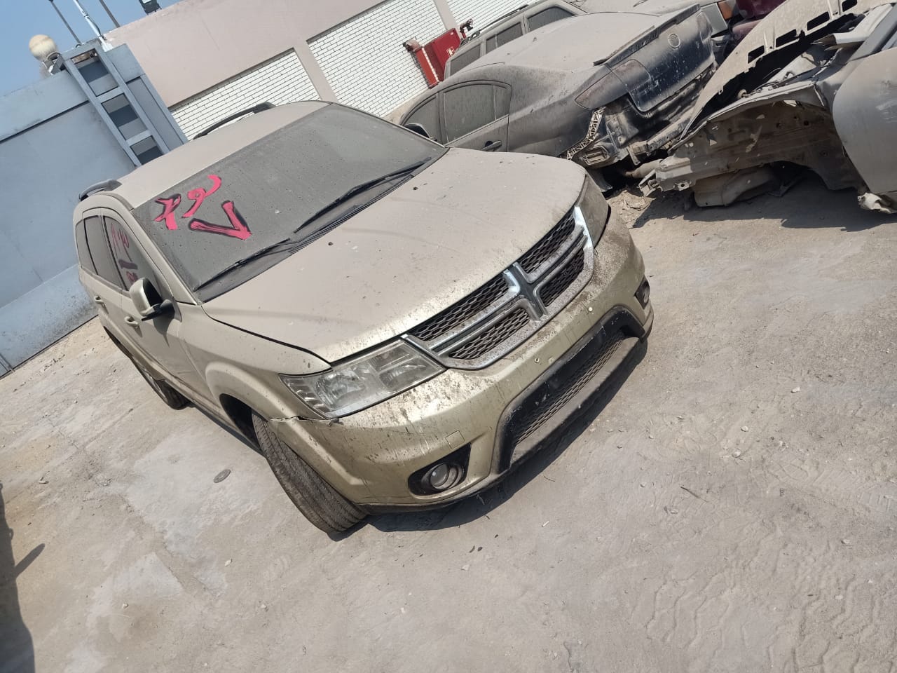 مرسيدس وتويوتا ودودج و BMW.. تفاصيل جلسة مزاد السيارات بجمارك مطار القاهرة